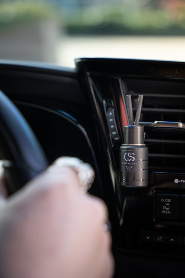 Air Vent Diffuser (2in1)