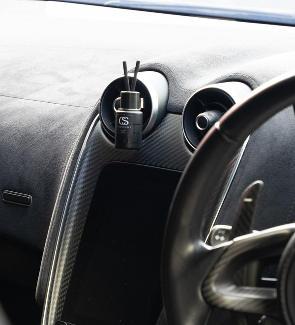 Air Vent Diffuser (2in1)