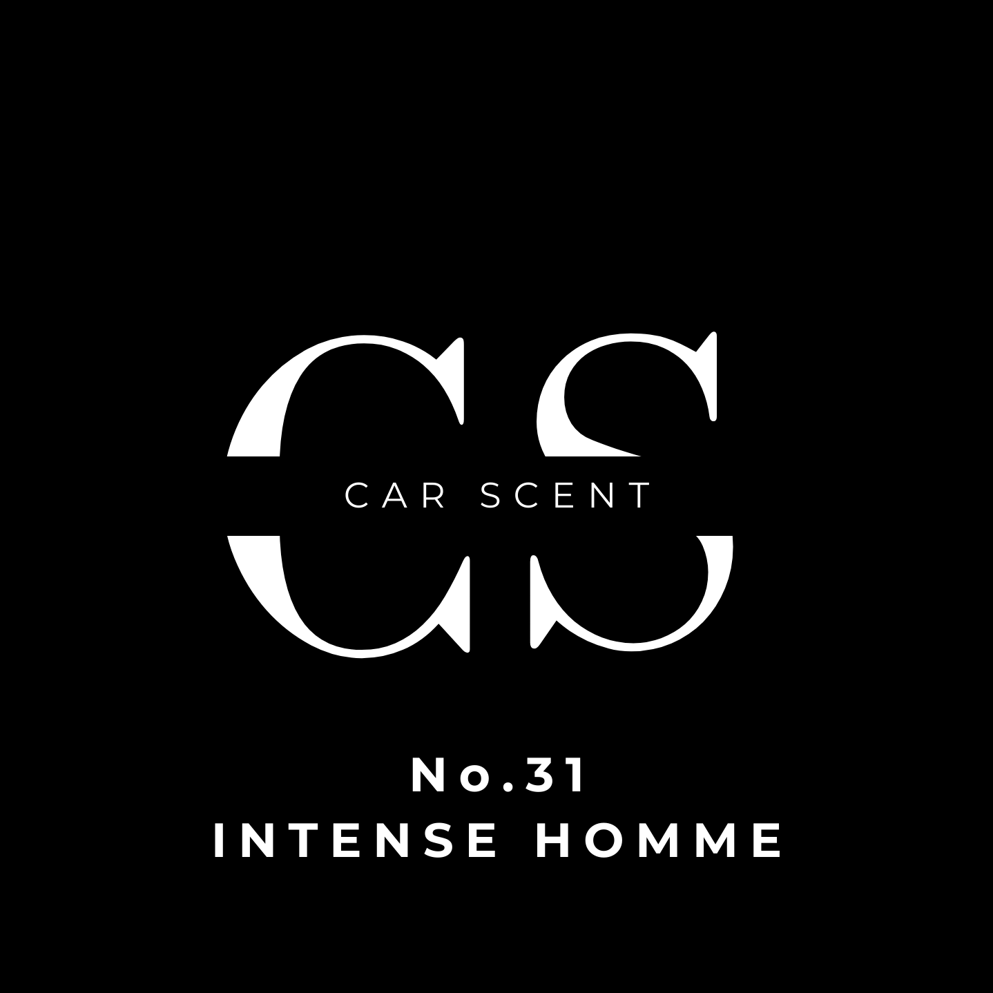 No.31  - Inspired by Dior Homme Intense